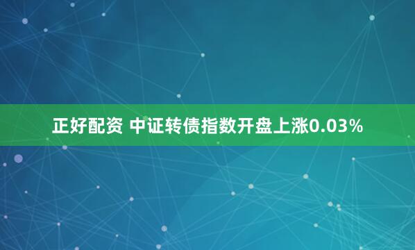 正好配资 中证转债指数开盘上涨0.03%