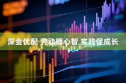 深金优配 劳动砺心智 实践促成长
