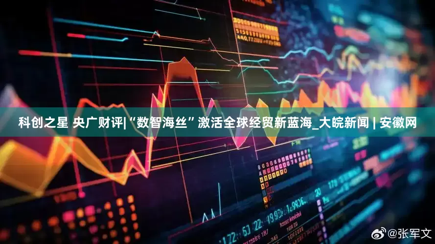 科创之星 央广财评|“数智海丝”激活全球经贸新蓝海_大皖新闻 | 安徽网