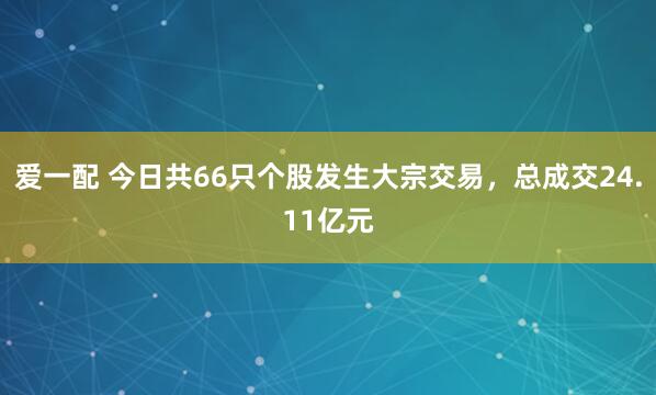 爱一配 今日共66只个股发生大宗交易，总成交24.11亿元
