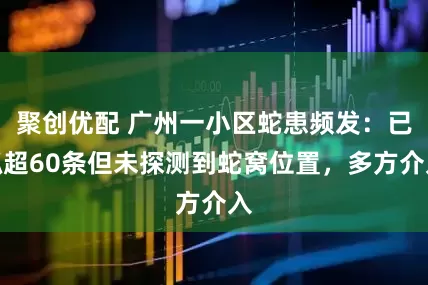 聚创优配 广州一小区蛇患频发:已抓超60条但未探测到蛇窝位置,多方介入