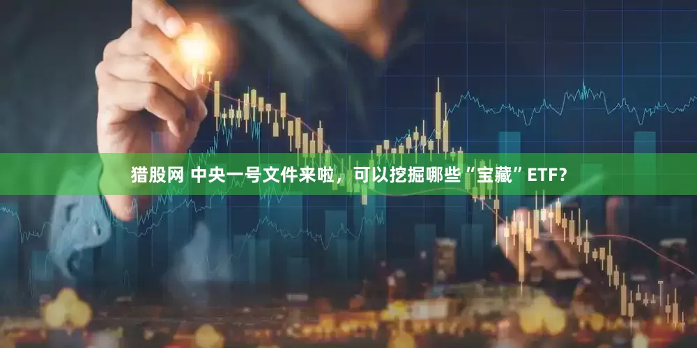 猎股网 中央一号文件来啦，可以挖掘哪些“宝藏”ETF？